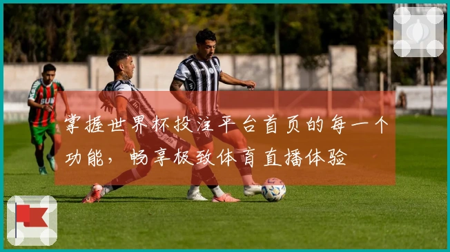 掌握世界杯投注平台首页的每一个功能，畅享极致体育直播体验