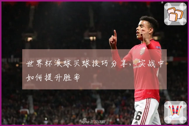世界杯滚球买球技巧分享，实战中如何提升胜率