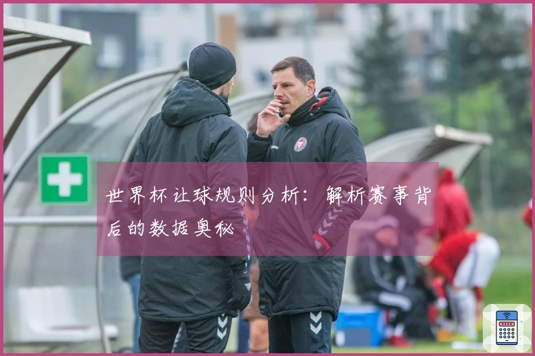 世界杯让球规则分析：解析赛事背后的数据奥秘