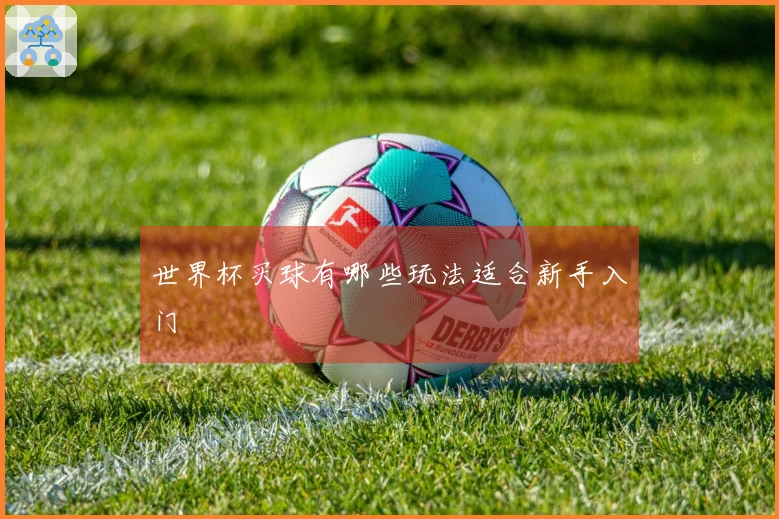 世界杯买球有哪些玩法适合新手入门