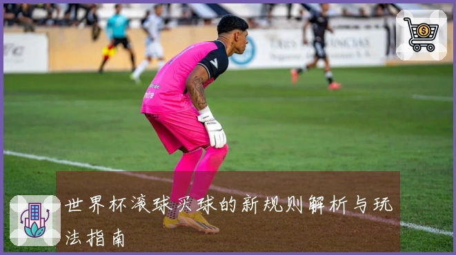世界杯滚球买球的新规则解析与玩法指南