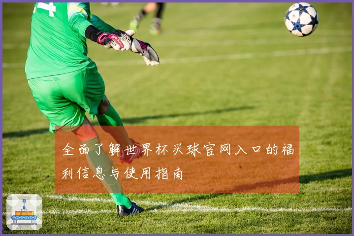 全面了解世界杯买球官网入口的福利信息与使用指南