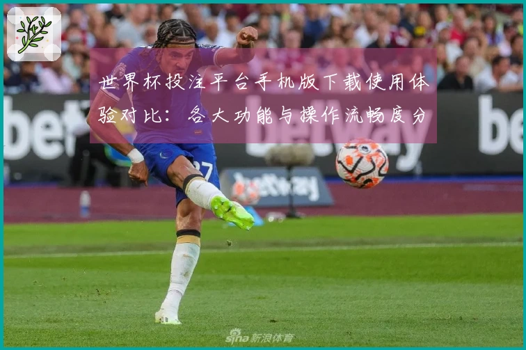 世界杯投注平台手机版下载使用体验对比：各大功能与操作流畅度分析