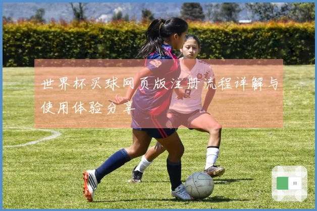 世界杯买球网页版注册流程详解与使用体验分享