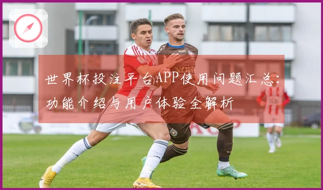 世界杯投注平台APP使用问题汇总：功能介绍与用户体验全解析