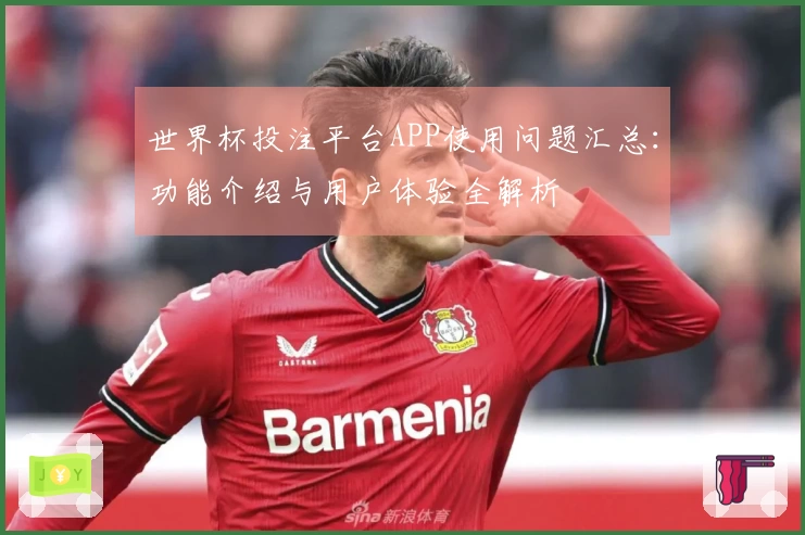 世界杯投注平台APP使用问题汇总：功能介绍与用户体验全解析