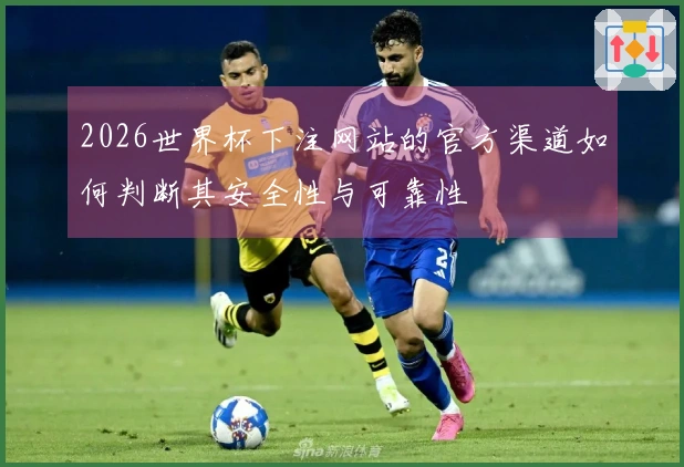 2026世界杯下注网站的官方渠道如何判断其安全性与可靠性