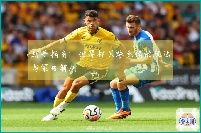 新手指南：世界杯买球竞猜的玩法与策略解析