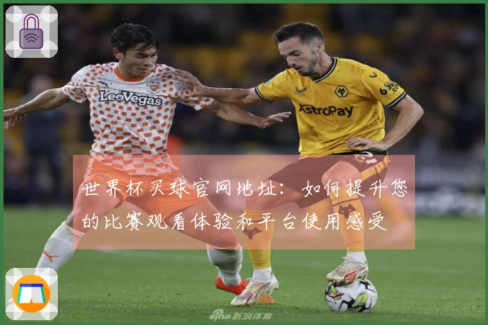 世界杯买球官网地址：如何提升您的比赛观看体验和平台使用感受