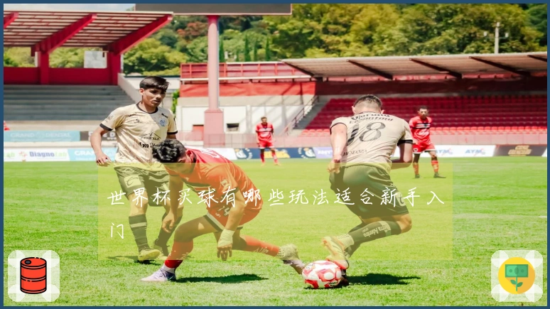 世界杯买球有哪些玩法适合新手入门