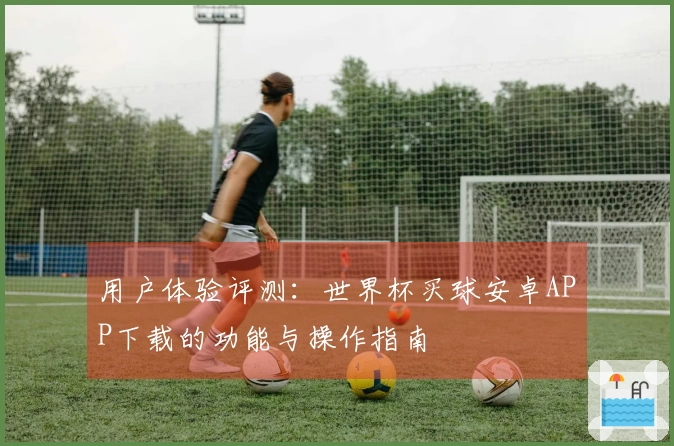 用户体验评测：世界杯买球安卓APP下载的功能与操作指南