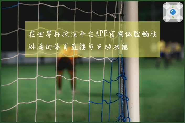 在世界杯投注平台APP官网体验畅快淋漓的体育直播与互动功能